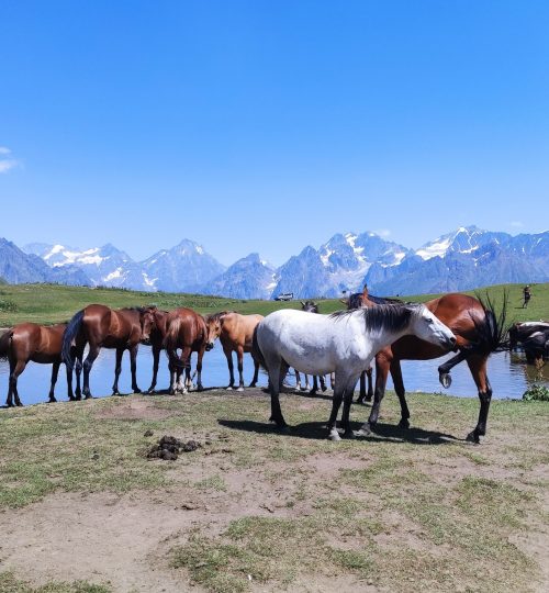 529728130 740156578932104 1238852340968622967 n.jpg