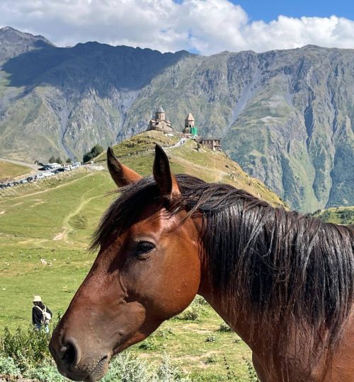 537369951 753596560921439 3700728430671695643 n.jpg