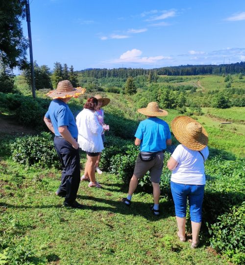 547073493 768866542727774 4696696168056673582 n.jpg